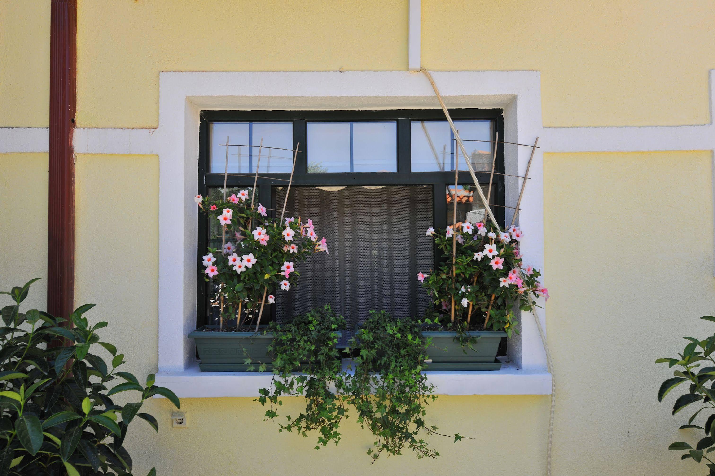 Petrino Goekceada Hotel&Kitchen İmroz Εξωτερικό φωτογραφία