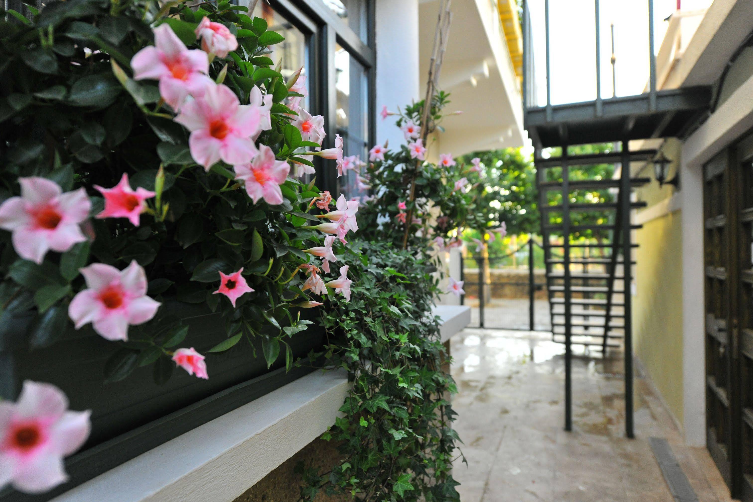 Petrino Goekceada Hotel&Kitchen İmroz Εξωτερικό φωτογραφία