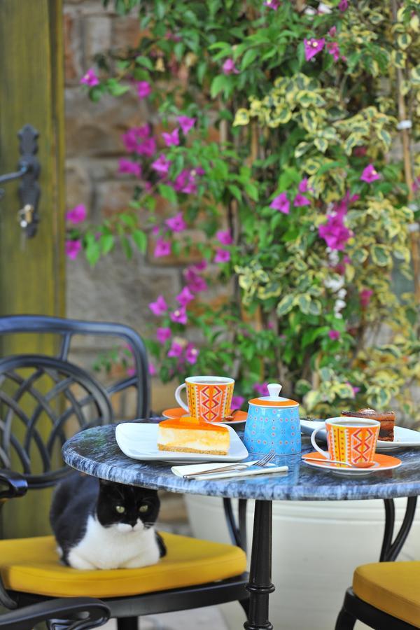 Petrino Goekceada Hotel&Kitchen İmroz Εξωτερικό φωτογραφία